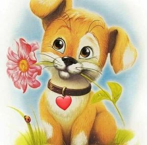 Meet your Posher, Aracely